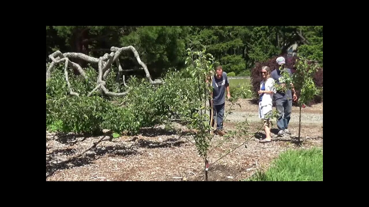 Back To Eden Garden Tour June 2021 - How To Pick Asparagus - L2Survive with Thatnub