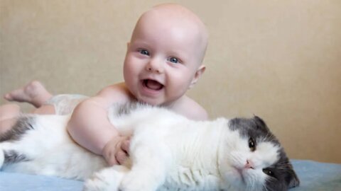 Cats and babies are best friends – Cute baby & cat compilation