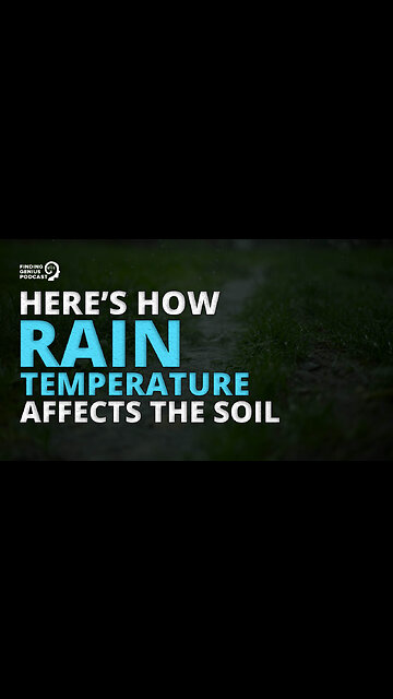 Here’s How Rain Temperature Affects the Soil 🌨️