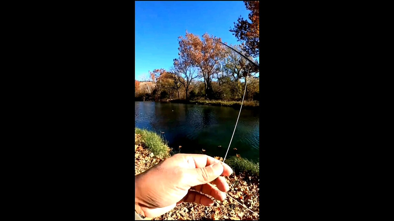 Turner Falls Park for Trout!