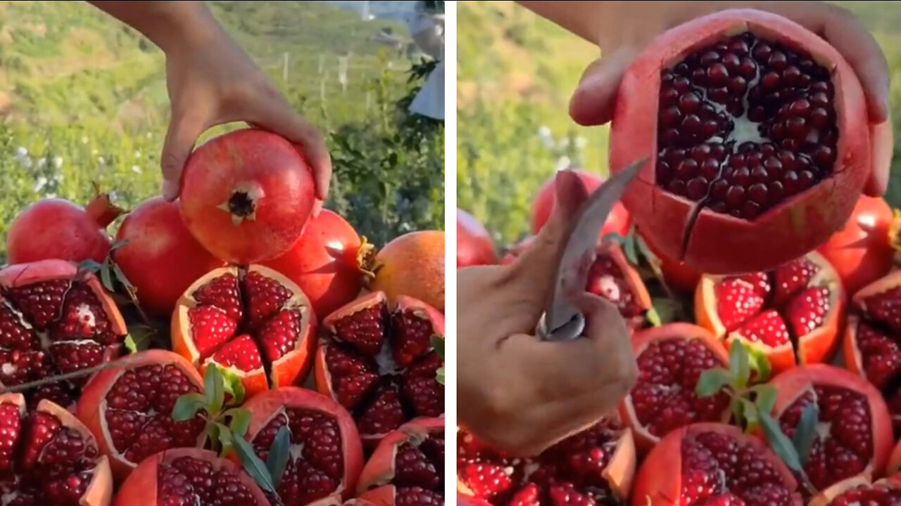 Most Red Beautiful Pomegranate You'll Ever See