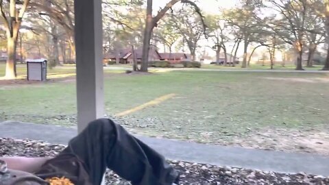 Stunning Spring Sunday evening in Texas!