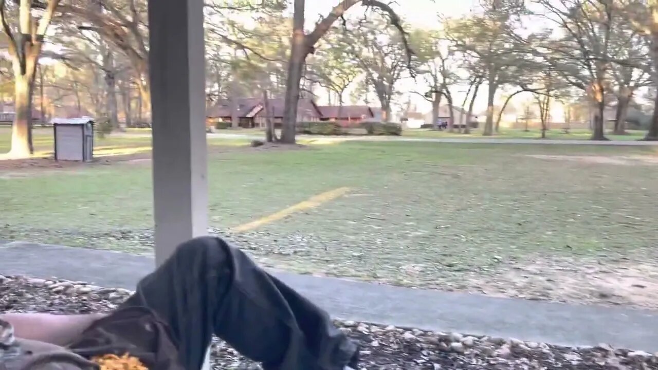 Stunning Spring Sunday evening in Texas!