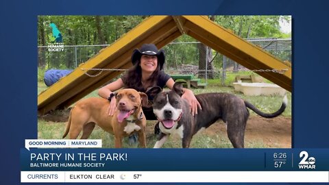 Party in the Park on Sunday June 12 to benefit the Baltimore Humane Society