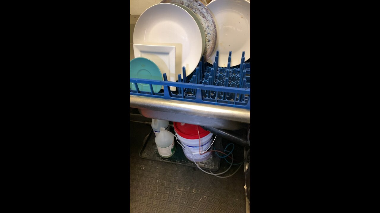 LIFE AS A DISHWASHER !!!!