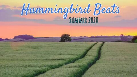 chill. by sakura Hz (No Copyright Music)