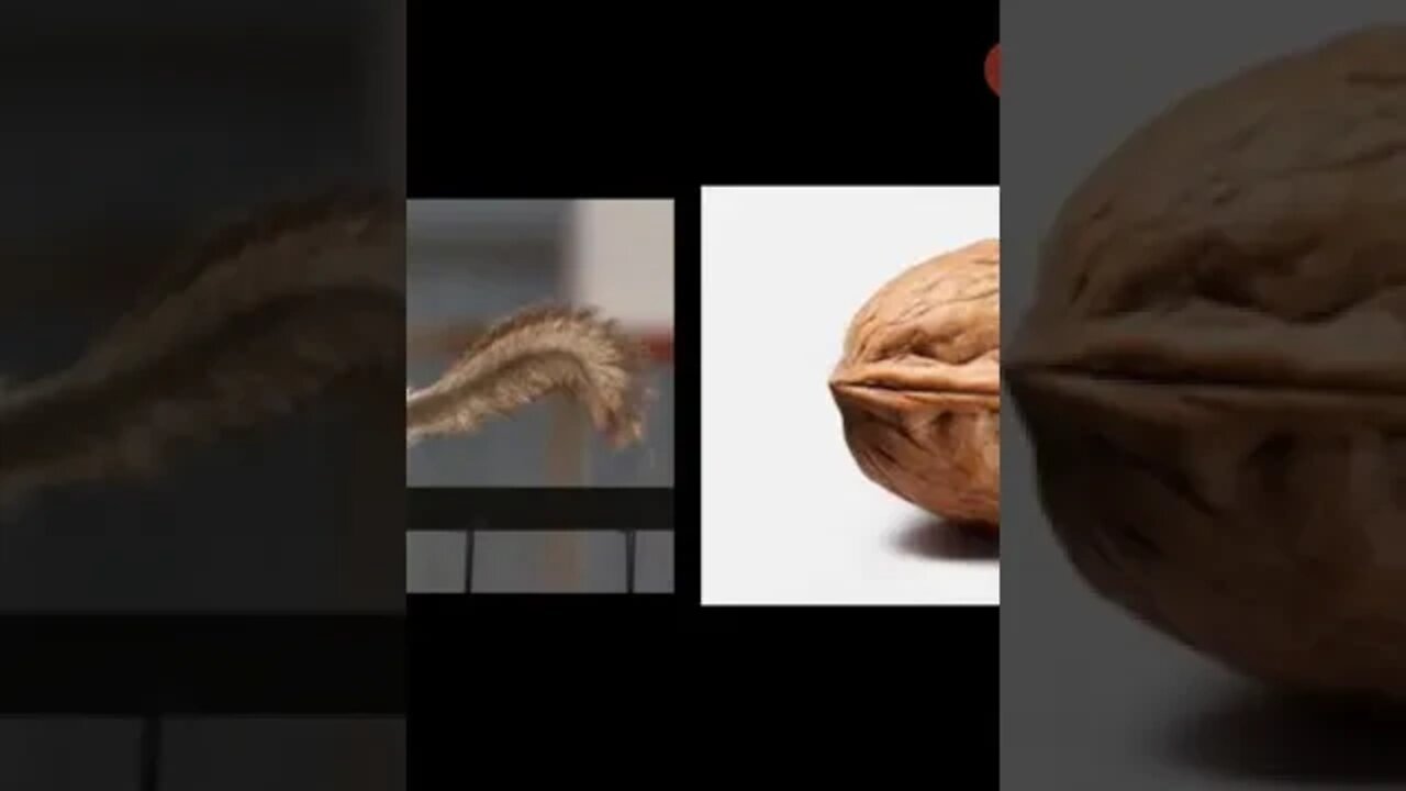 Class I Urdu A Chalak Golehri Part 1