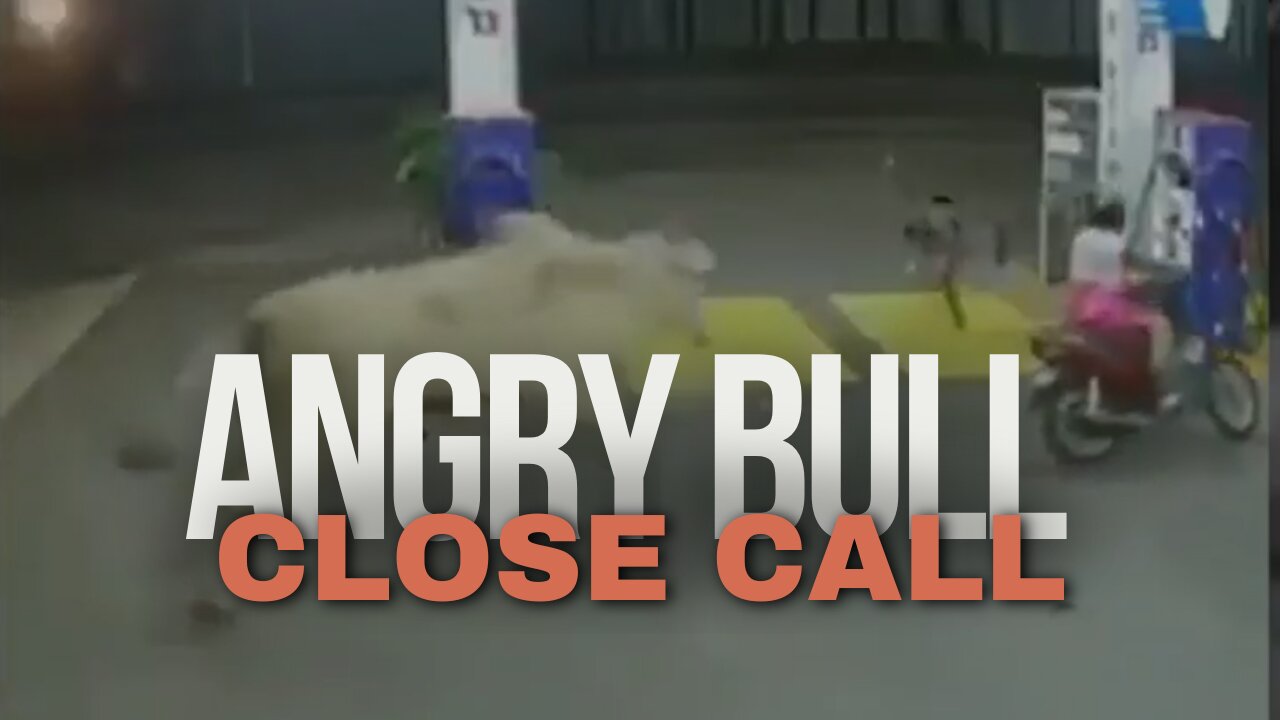 Close Call: Riders' Narrow Escape from Enraged Bull