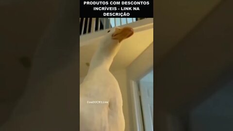 esse vídeo nunca perde a graça 😂😂😂