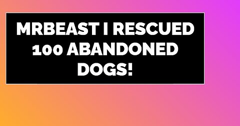 I Rescued 100 Abandoned Dogs!