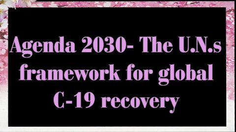 Agenda 2030 includes what? (No Sound)