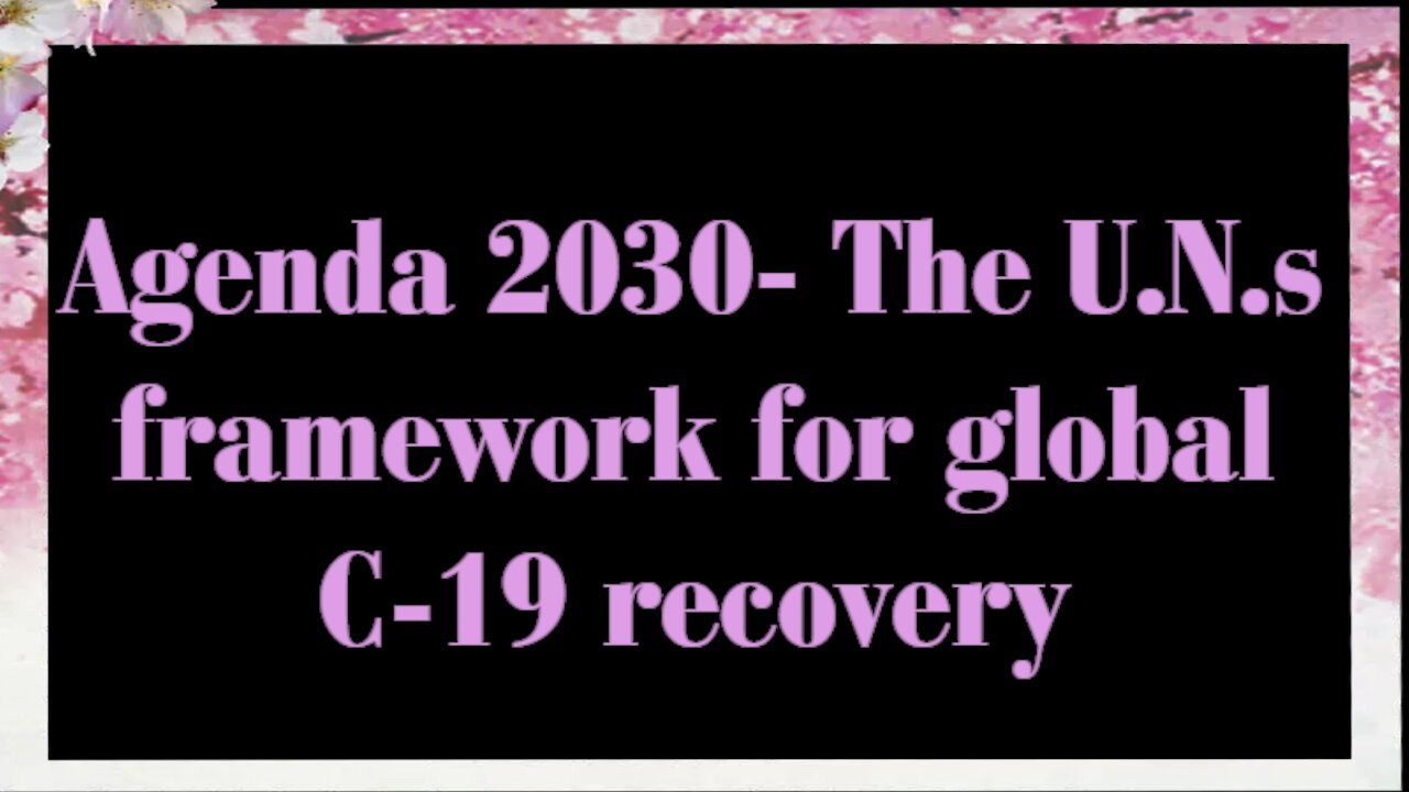 Agenda 2030 includes what? (No Sound)