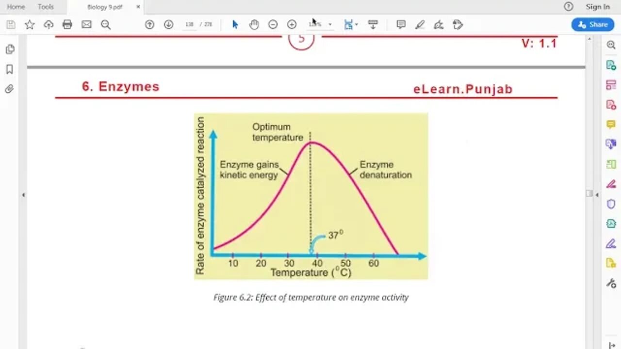 Class 9th Bio Uses of Enzymes