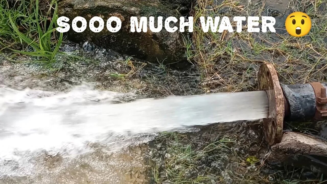 TOO MUCH WATER !? | Our Rice fields are flooded 🌾🌾 | FARM VLOG 29.11.22