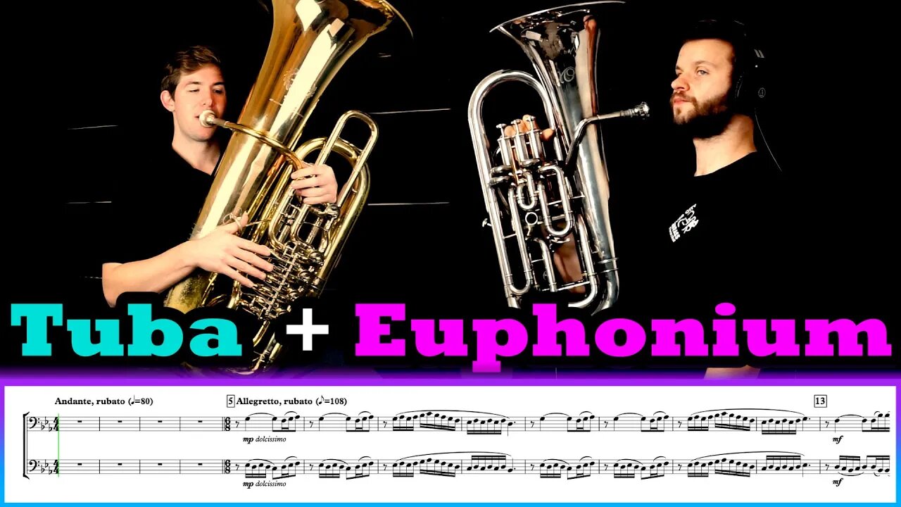 ✔️✔️VERIFIED✔️✔️ TUBA and EUPHONIUM are THE BEST SOUNDING INSTRUMENTS IN THE WORLD!!!