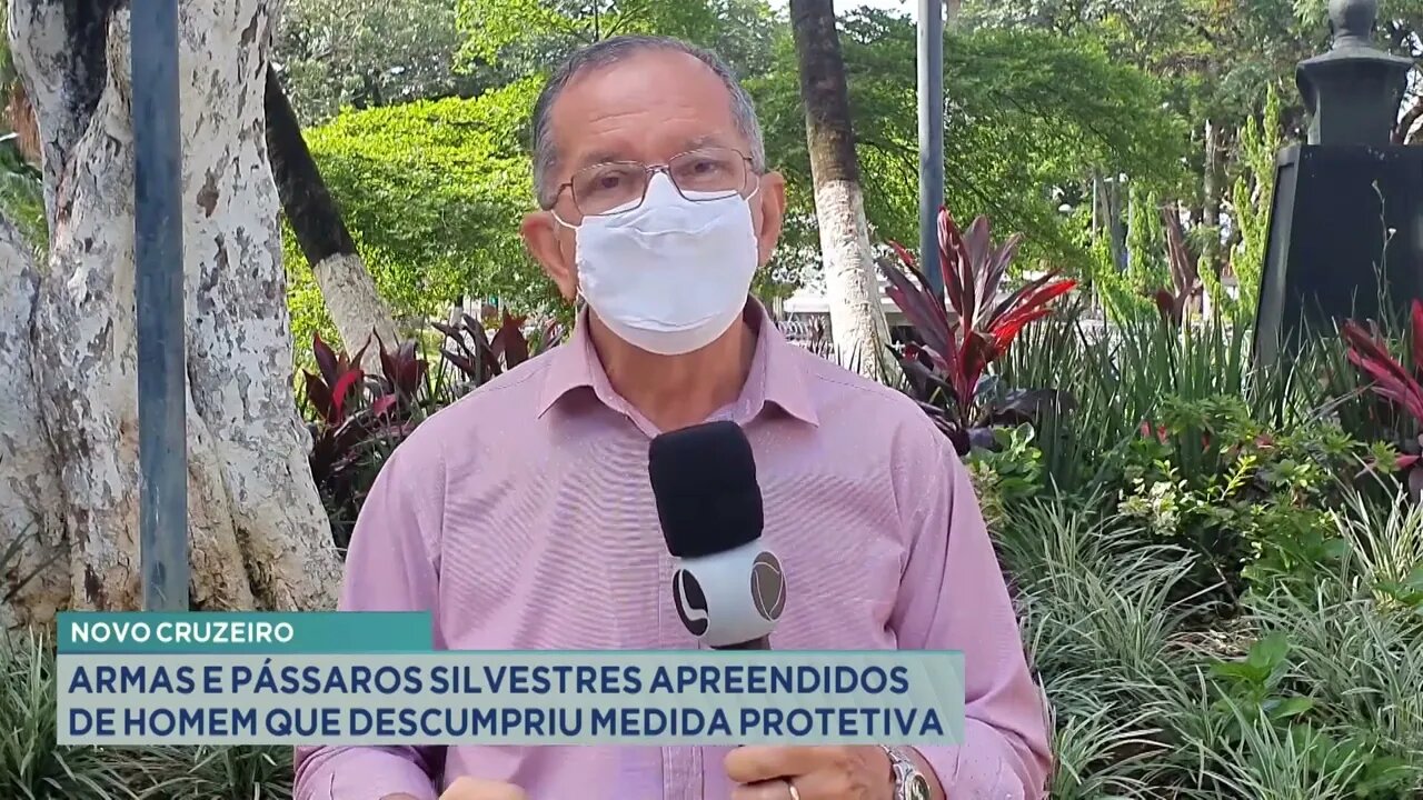 Novo Cruzeiro: armas e pássaros silvestres apreendidos de homem que descumpriu medida protetiva