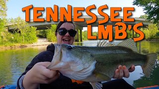 Tennessee Creek Largemouth!!!!