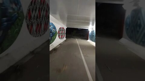 Te Atatu bike path tunnel