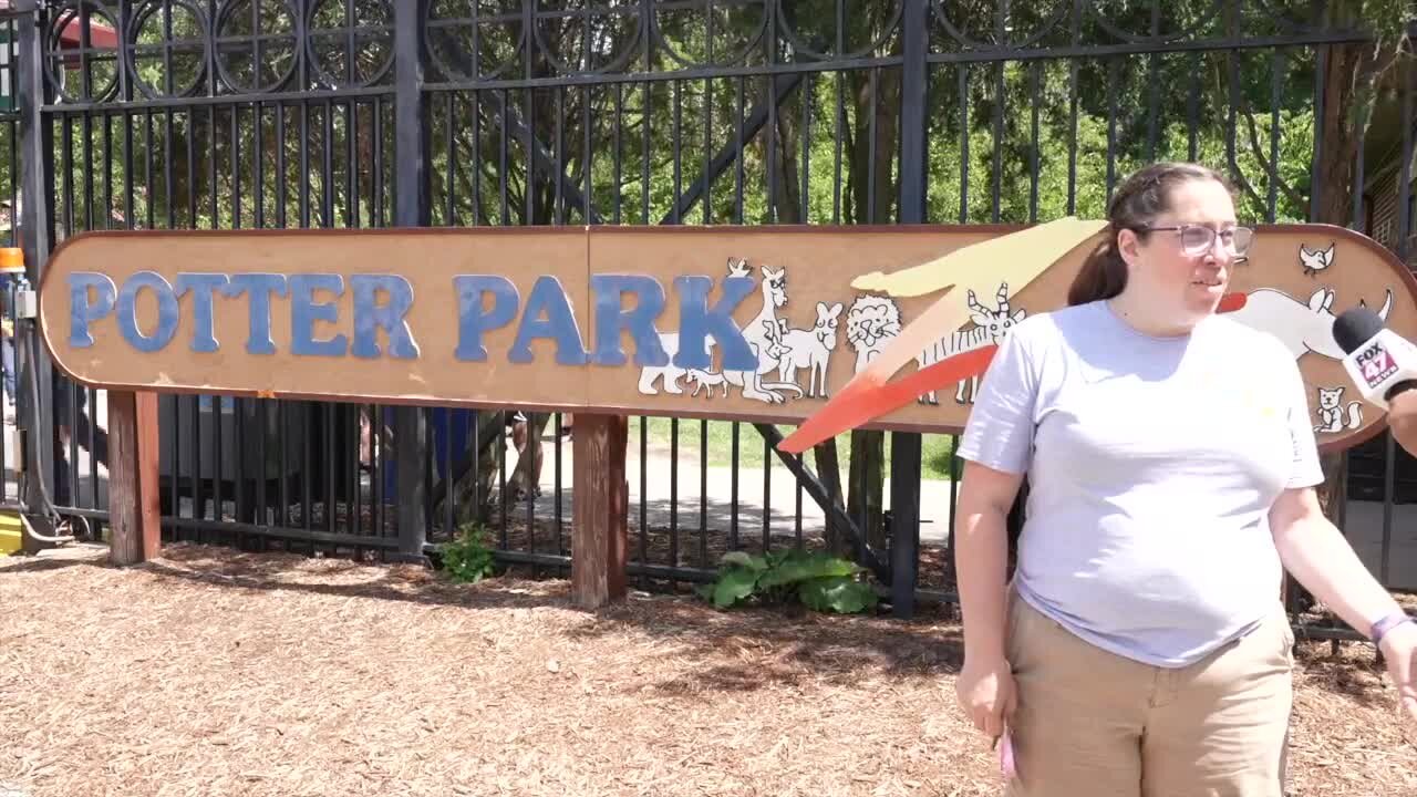 Zoo days at Potter Park Zoo