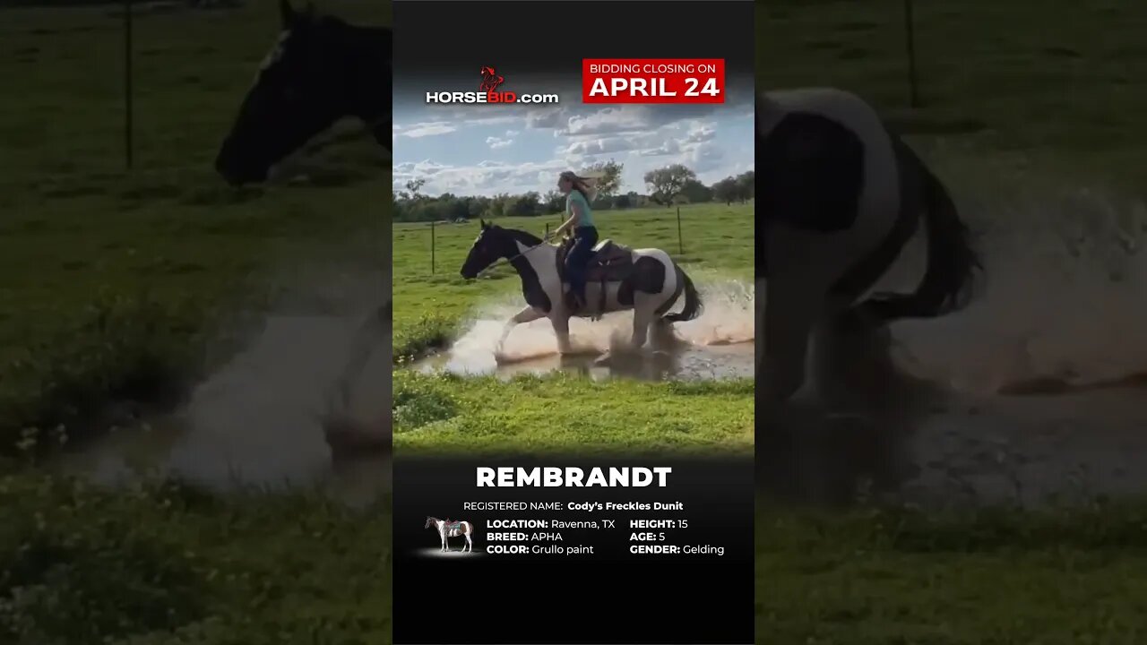 RΞMBRΛNDT
