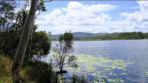 The Beauty of Lake Manchester