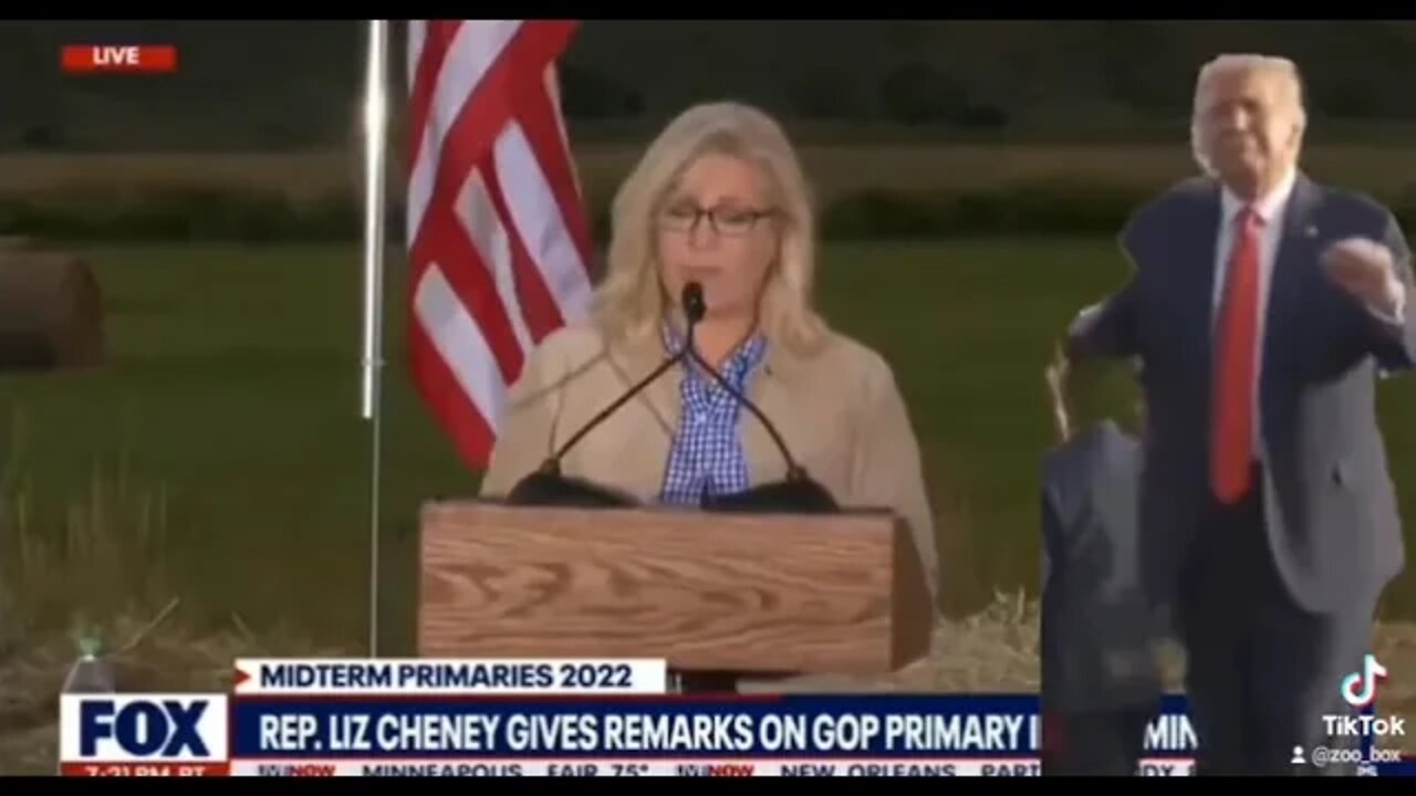 #lizcheney #wyoming #trump #nonsense #satire