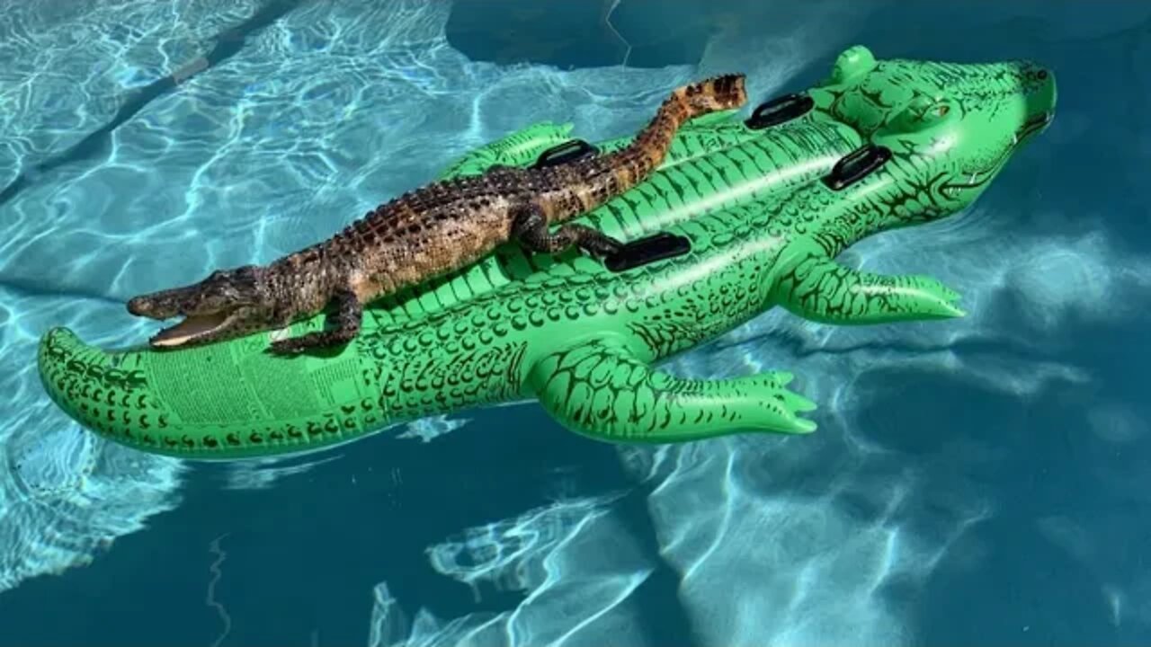 HillerFit Review - WIDE OPEN AS USUAL - SEPT 2022