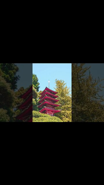 Beauty of nature images | Amazing pictures of nature #short1