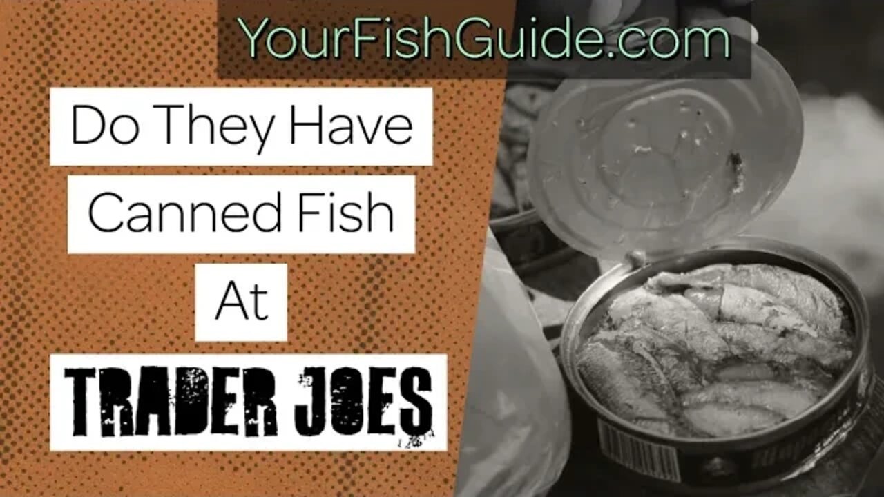 Here Are The Best Canned Fish Products At Trader Joes: WATCH BEFORE BUYING