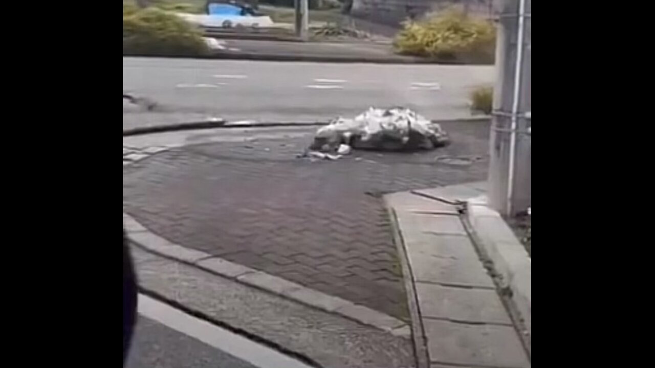 Earthquake Japan