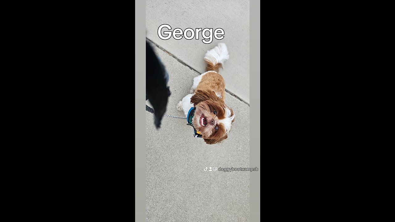 GEORGE