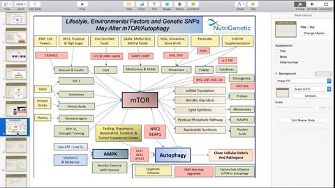 Zoom Call: 10-31-18 - NFkB, IGF-1, Questions | Dr. Kevin Conners - Conners Clinic