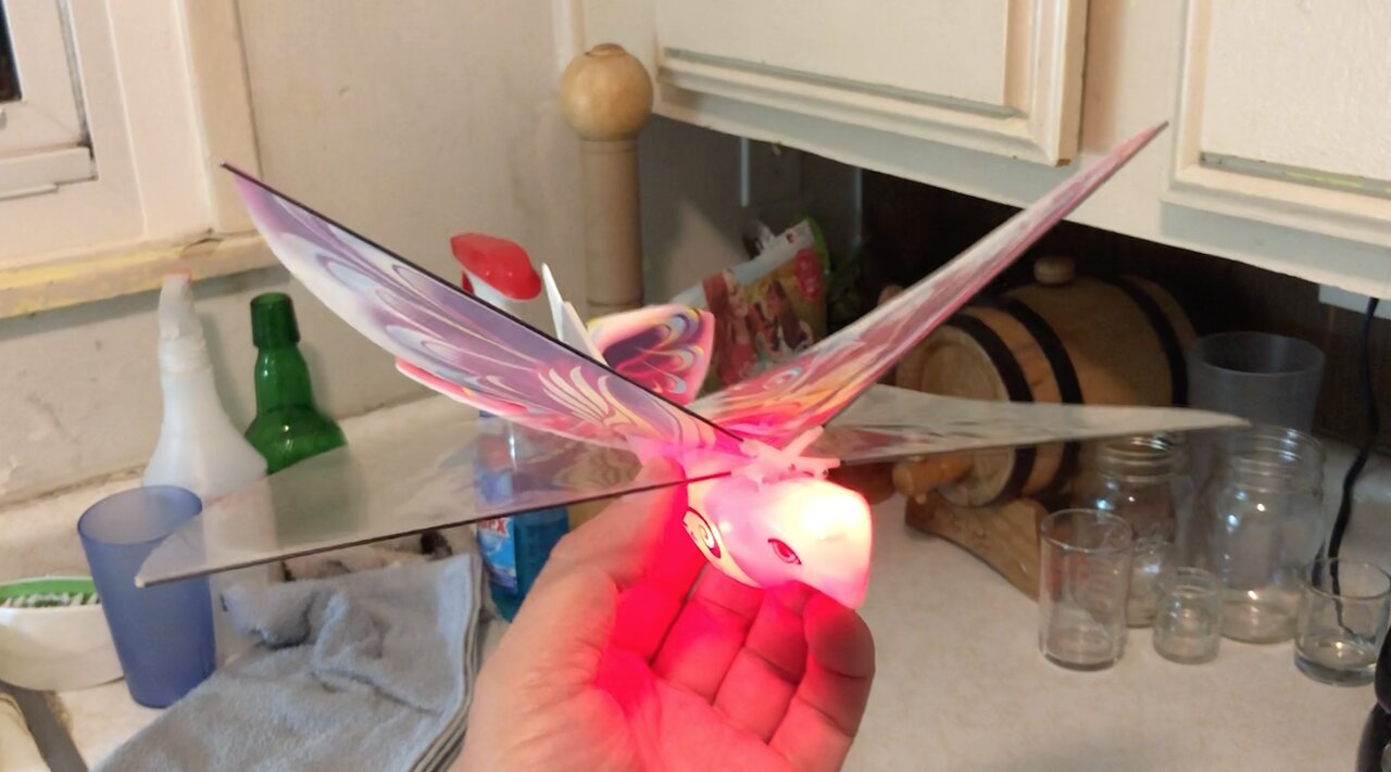 Remote Control E-Bird Butterfly Review ~ Great to Taunt your Cats!