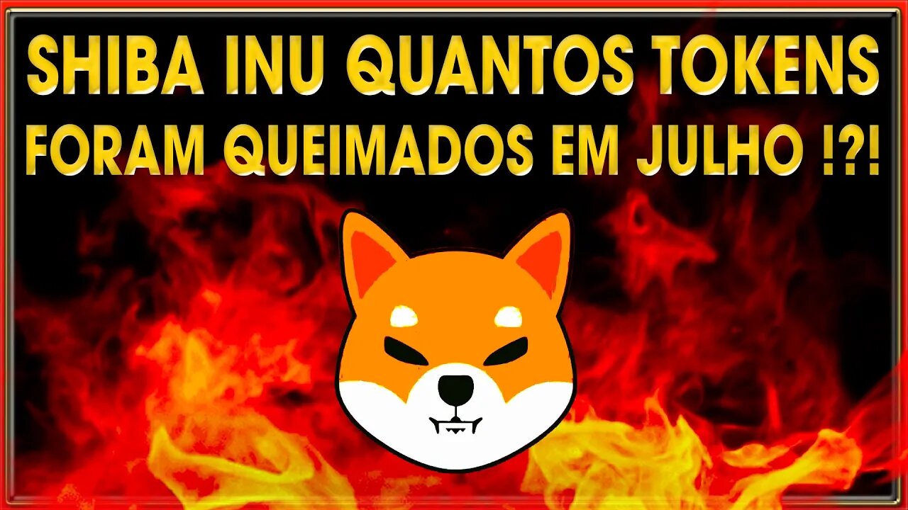 SHIBA INU QUANTOS TOKENS FORAM QUEIMADOS EM JULHO !?!