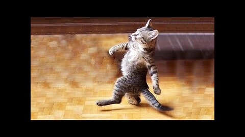 Best Pets of the Year...So Far (2021)