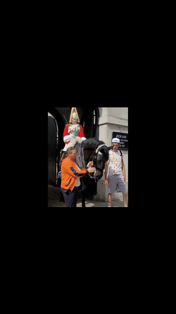 Touch the Reins yank them away #horseguardsparade