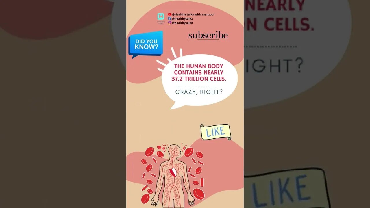 Human Body Cells