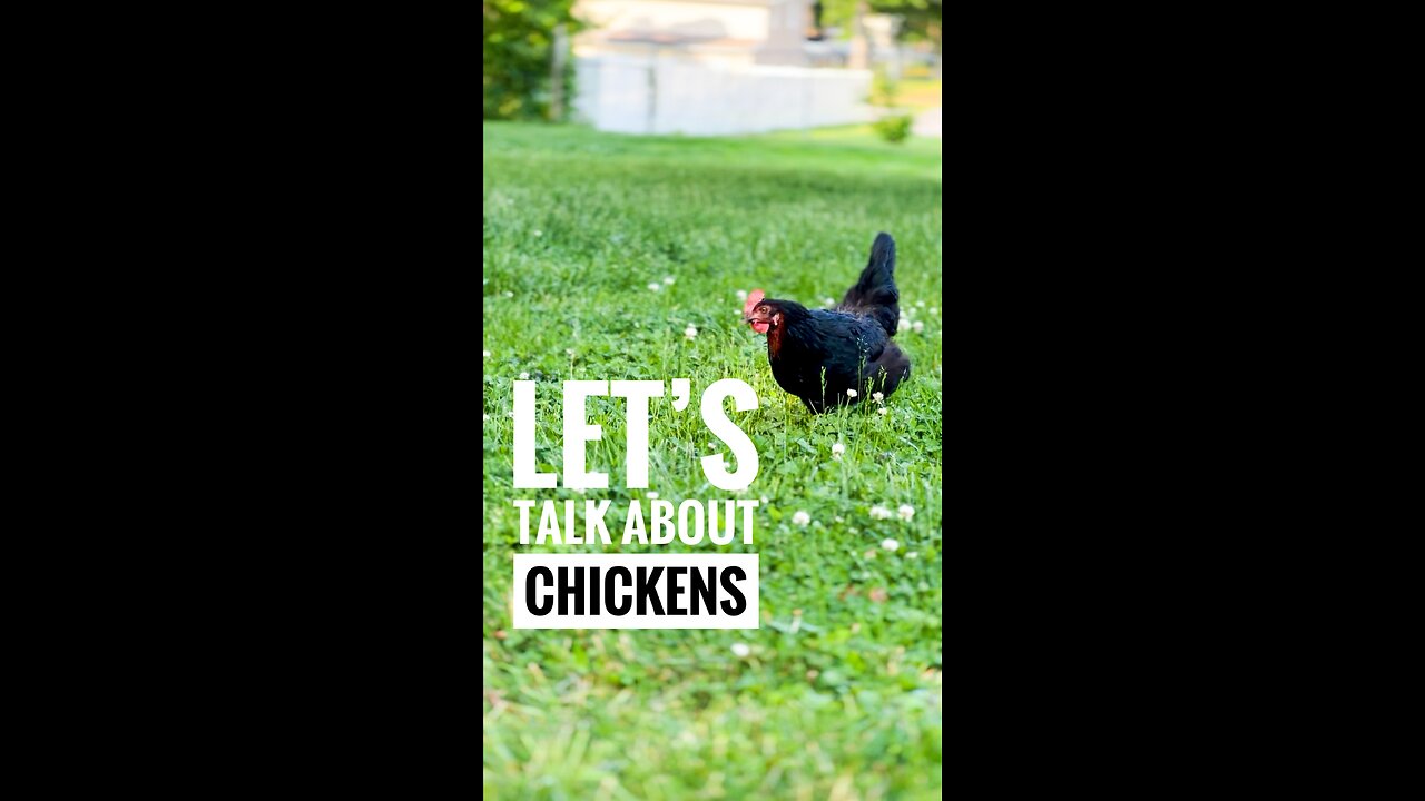 Let’s Talk About Chickens 🐓🐥 - Joel Salatin