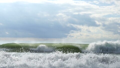 Waves Of Sea Life Rushing To The Shore