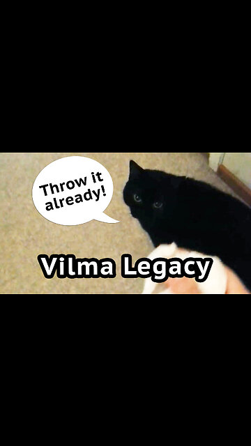 Vilma Cat Legacy: Paper Ball