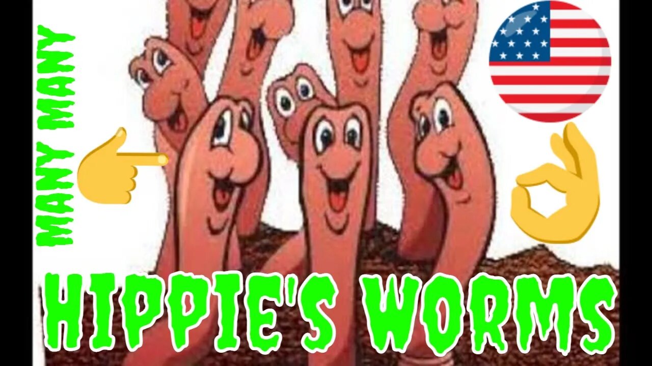 Lets Take Another Look At Hippie Auditors Worm Family Love