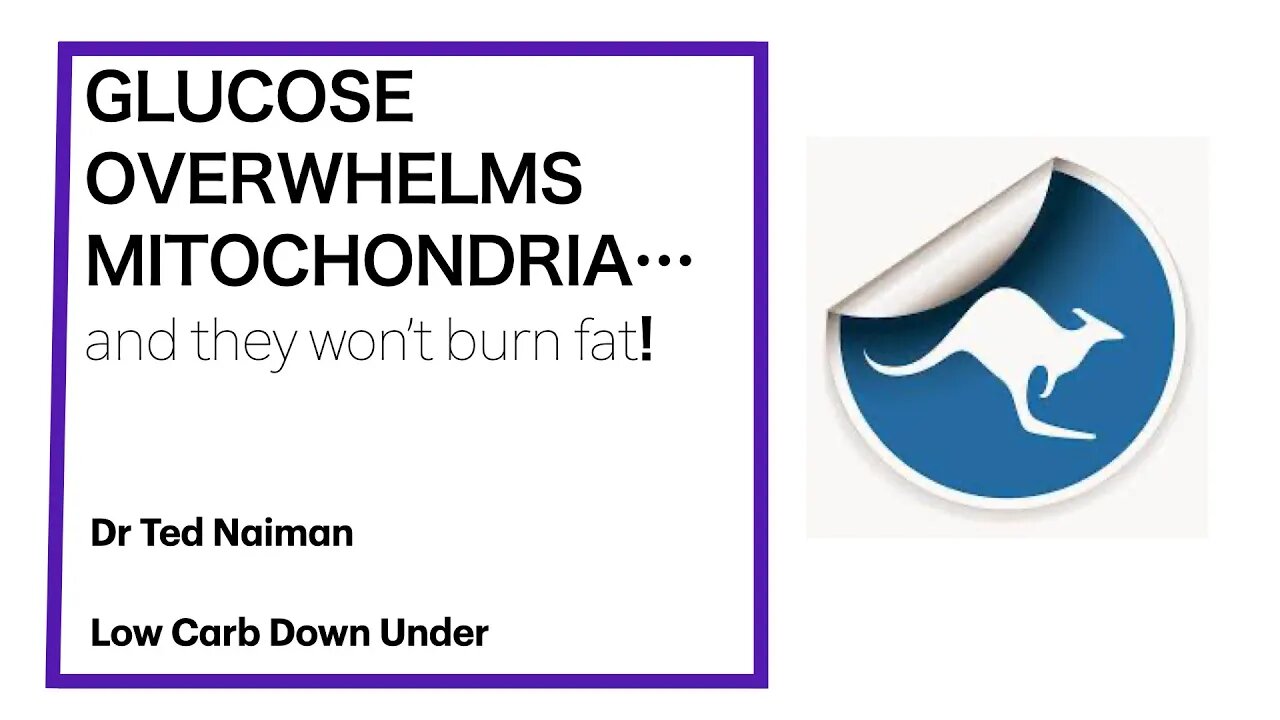 Ted Naiman 5: GLUCOSE OVERWHELMS MITOCHONDRIA...and they will not burn fat