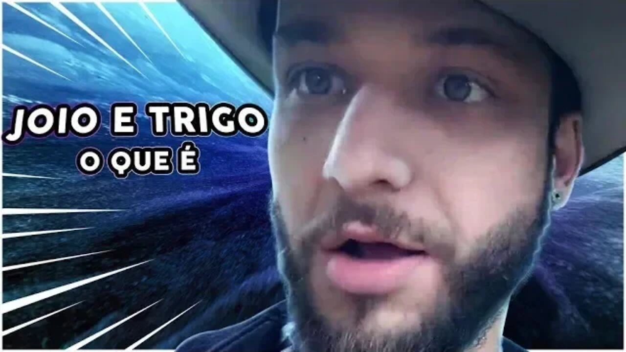 Bob fala sobre as Reciclagens na Escola