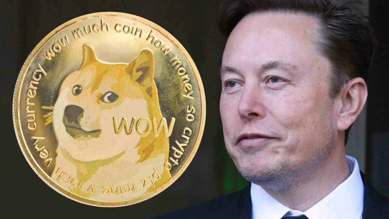 Dogecoin took over twitter -Elon musk steps toward dogecoin