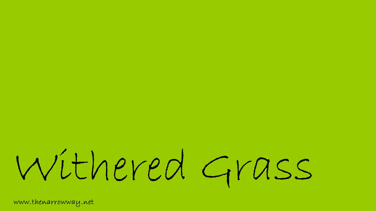 Withered Grass