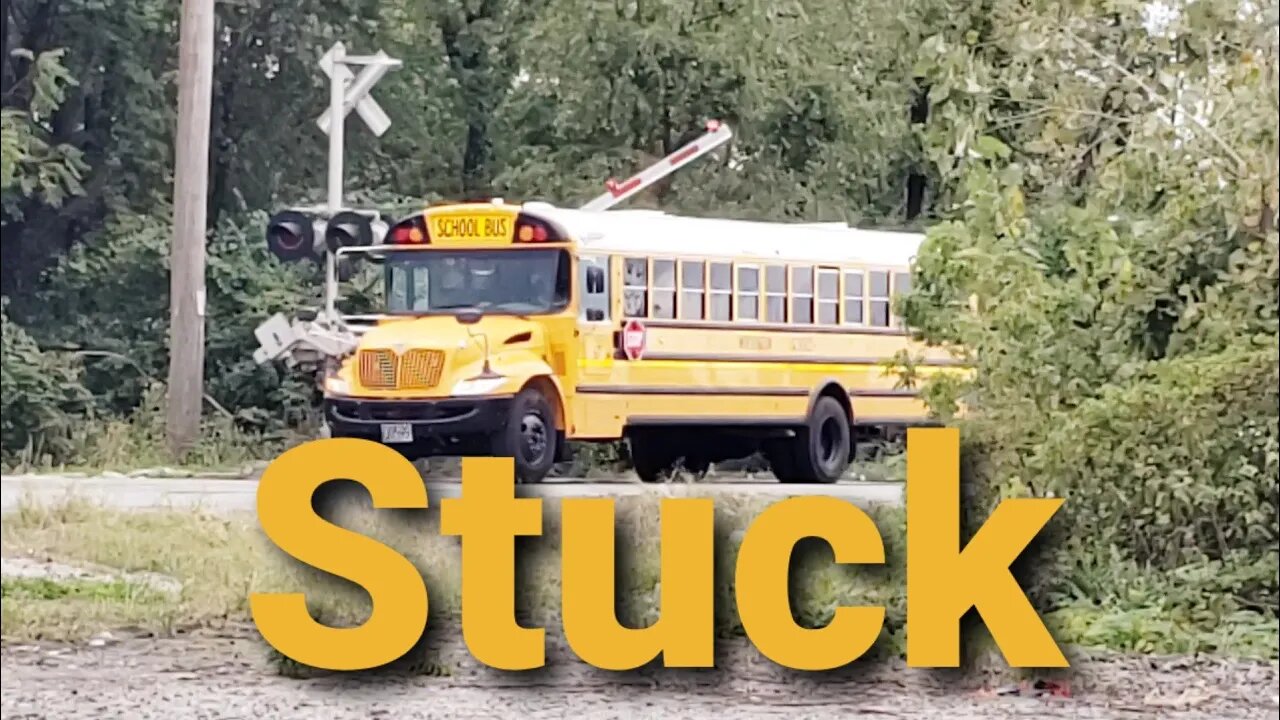 School bus stuck under RR gate