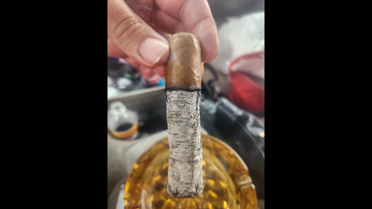 Panacea 560 Black Connecticut Cigar Review