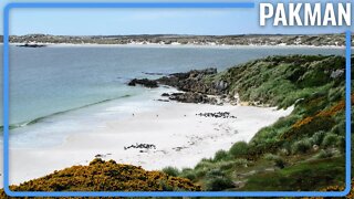 Who SHOULD the Falkland Islands Belong To?