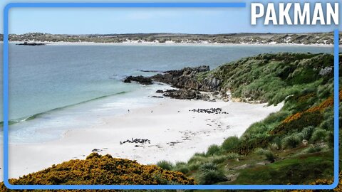 Who SHOULD the Falkland Islands Belong To?