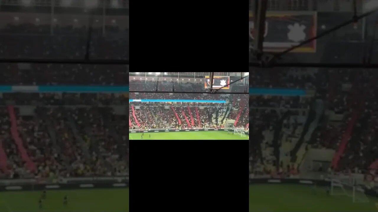 TORCIDA DO FLAMENGO DANDO SHOW/ 68 MIL PESSOAS NO MARACANÃ 😱😱😱😱